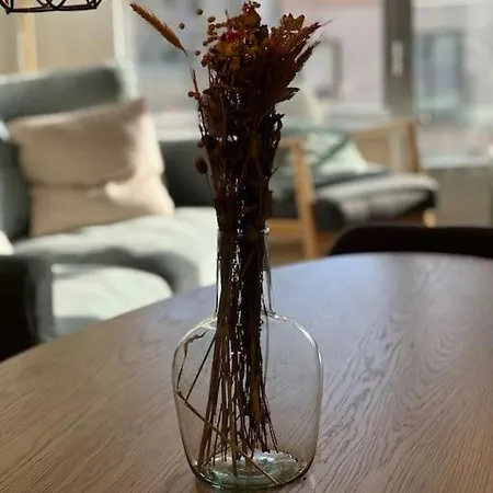 Entierement Renove A Apartment Blankenberge