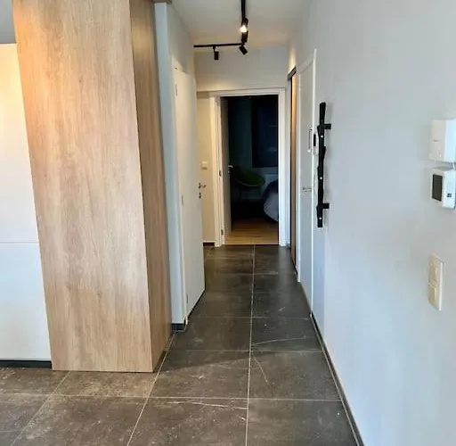 Entierement Renove A Blankenberge