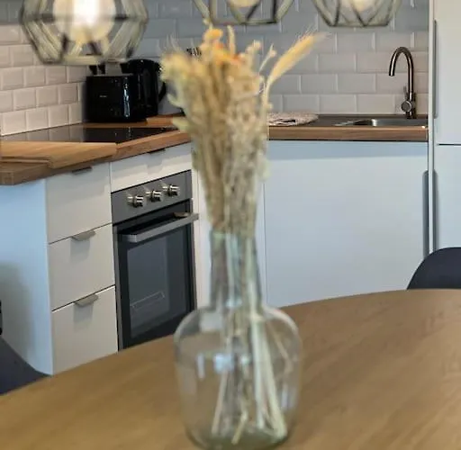 Entierement Renove A Blankenberge